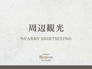 �����ӊό�