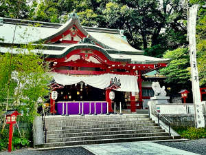 毎日多くの参拝者が訪れる来宮神社