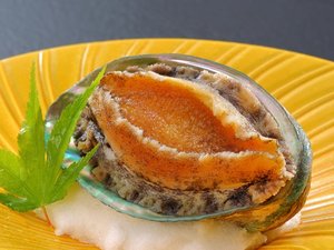 �m�[�H���n�v���~�A�� - �����