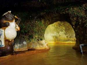 【熊本県天草の日本秘湯を守る会会員宿】大洞窟の宿 湯楽亭