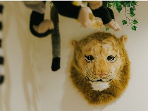 伊豆シャボテン動物公園とコラボしたアニマルルームが誕生♪