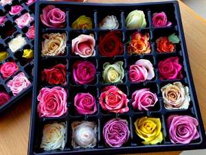 薔薇♪