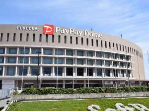 �݂���PayPay�h�[�������ᕟ���s/�z�e������o�X���k���Ŗ�20����