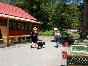 菅沼キャンプ村 外観