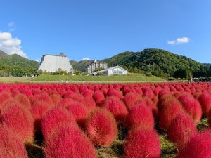 施設