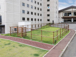 ドッグラン全景