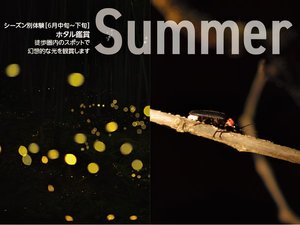【ホタル観賞】大自然に囲まれた当施設内におきまして、幻想的な癒しの光をご鑑賞いただけます。