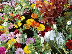 北野天満宮の花手水。季節の花が彩を添えます。