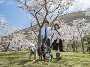 �厺�R������̗��͎U��Ƀs�b�^���I