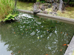 【大川汐見公園】別荘オーナー・ご宿泊者様が自由にご利用頂けます。