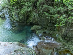 温泉街中央を流れる清流 山上川の川上。散策道沿いなのでお散歩にお出かけ下さい
