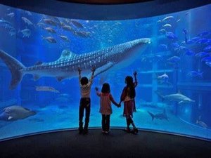 海遊館
