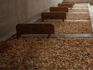 竜宮の極楽蒸し
