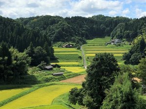 【6階レストランからの眺望】たたら製鉄で生まれた奥出雲の代表的な棚田の景色