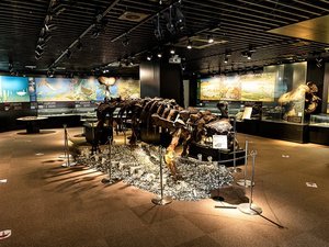 【展示室1階・一般開館】一般開館時間は10:00〜16:00です。ご宿泊のお客様は無料でご覧いただけます。