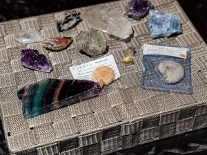 【ミュージアムショップ】化石、鉱石、鉱物。学芸員が仕入れていますのでお得な価格です。
