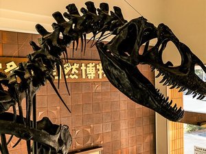 【エントランス・1階】玄関を入るとアロサウルスの全身骨格標本がお出迎えします。