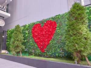 外観 (写真スポット)