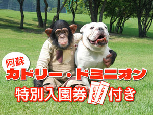 �J�h���[�E�h�~�j�I���̓��ʓ������������Z�b�g�ɂȂ��������ȏh���v����