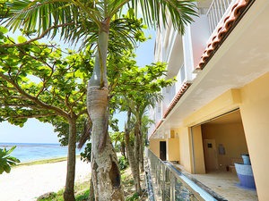 �T�E�i�̐����C�̖ڂ̑O�́A�����r�[�`�ƃR�o���g�u���[�̊C