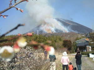 伊豆高原の観光スポット大室山の山焼きが、毎年2月に行われます。