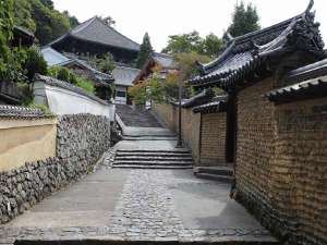 �y���厛 �񌎓��z�Ŋ�w�F�ߓS�ޗǉw�^���ق��ԂŖ�15��