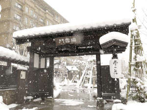 ނ̏h@̉ԁi][gj̎ʐ^