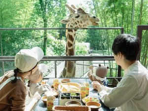 THE BAMBOO FOREST̎{ݎʐ^1