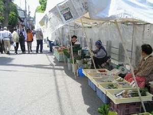 《観光》朝市では、地元の人と話をするのも、楽しいです