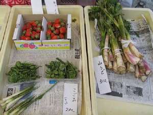 《観光》朝市には、旬の野菜が並びます