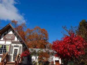 【栃木県の貸別荘・コテージ】貸コテージ ことはな