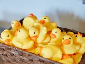【ラウンジ】バスタイムのお供にどうぞ♪