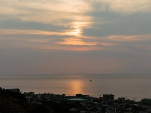 �h���猩����[��