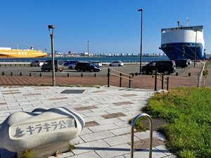 �y�ό��摜�z�L���L������