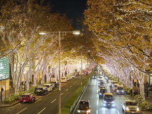 表参道冬のイルミネーション 写真提供:(公財)東京観光財団