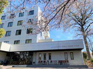 施設内の桜の木。春爛漫の鮮やかな桜の花びらが季節を感じさせます。