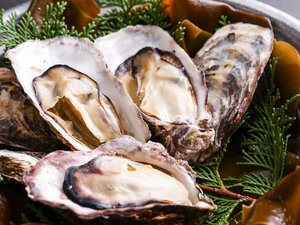 【土地の恵み会席】冬の味覚・牡蠣を堪能〈牡蠣づくし〉