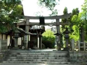 ���V�F��_�Ё@�㔒�͏�c���A�����Ɠ`�����Ă���傫�ȓ킪����܂��B