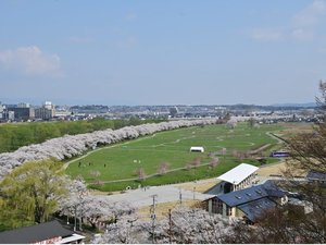 【さくらの名所100選:展勝地】陣ケ丘から見た並木