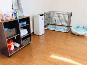 *�R�e�[�W[�C] ���������p�O�b�Y�i��j