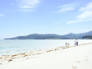 ���ː痢���l�C������