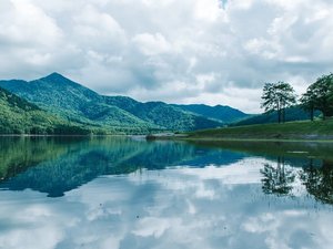 ���Ȃ�܌΁i�z�e������Ԃ�15���j�F�Ă̓J�k�[�⃉�x���_�[���A�~�̓��J�T�M�ނ���y���߂܂�