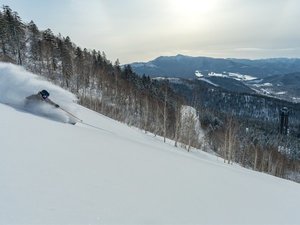 星野リゾート トマム スキー場(当ホテルより車で約60分)