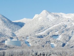 富良野スキー場(当ホテルより車で約60分)
