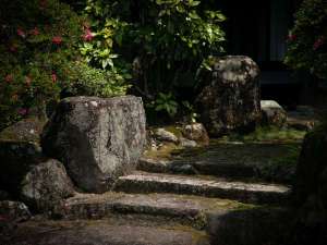 敷地内には沢山の花や木、苔があります。