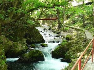 龍泉洞付近の渓流(遊歩道)