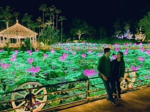 【東南植物楽園】水上に浮かぶ壮大な蓮のイルミネーション(ホテルから車で約15分)