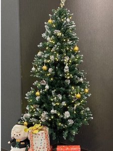 冬はクリスマスツリーを飾って鮮やかに☆彡