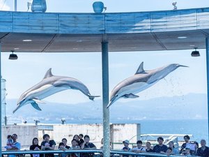 水族館 うみたまご