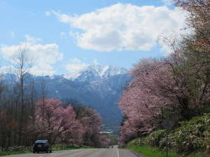 �t�̕x�ǖ�@��R�ƍ����؂Ƃ̍\�}���y���߂�h���C�u���[�g